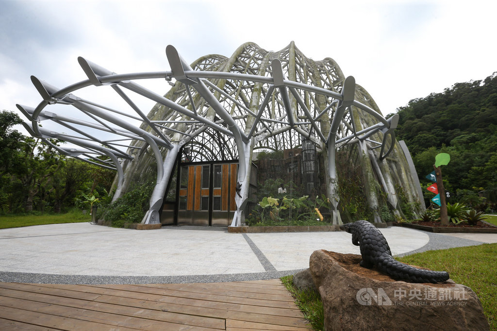 台北市立動物園熱帶雨林室內館(穿山甲館)8日舉行開幕記者會,以穿山甲為鋼構造型的室內館,展示南美洲熱帶雨林物種。中央社記者謝佳璋攝 108年7月8日