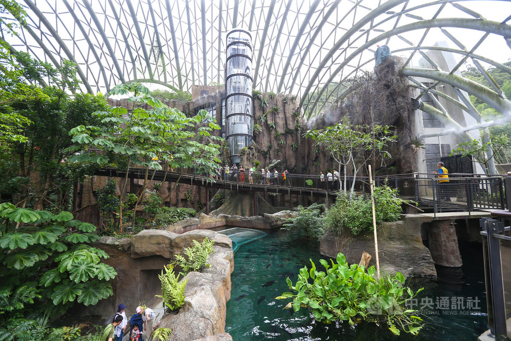 台北市立動物園熱帶雨林室內館(穿山甲館)8日舉行開幕記者會,以穿山甲為鋼構造型的室內館,將帶領民眾認識熱帶雨林,瞭解生態保育的重要性。中央社記者謝佳璋攝 108年7月8日