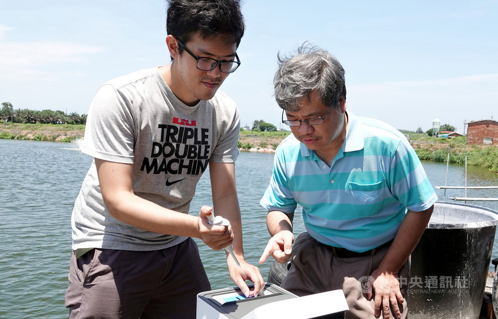 中正大學奈米生物檢測科技研究中心與工研院合作,針對石斑魚養殖,研發「即時養殖池水病原體監控」技術,只要將池水滴入感測器晶片,20分鐘內即可確認是否受病毒感染。(中正大學提供)中央社記者黃國芳傳真 108年7月17日