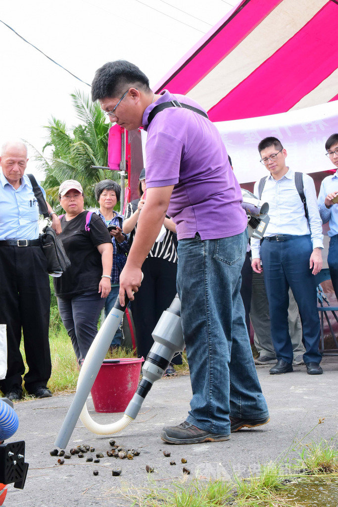 苗栗區農業改良場集合農業試驗所與中興大學、屏東科技大學,組成智慧農業稻作產業執行團隊,耗費3年研發「福壽螺清除機具」,14日在屏東示範觀摩,屏科大團隊研發的「福壽螺吸塵器」,可揹負於肩使用。(屏科大提供)中央社記者郭芷瑄傳真 108年8月14日