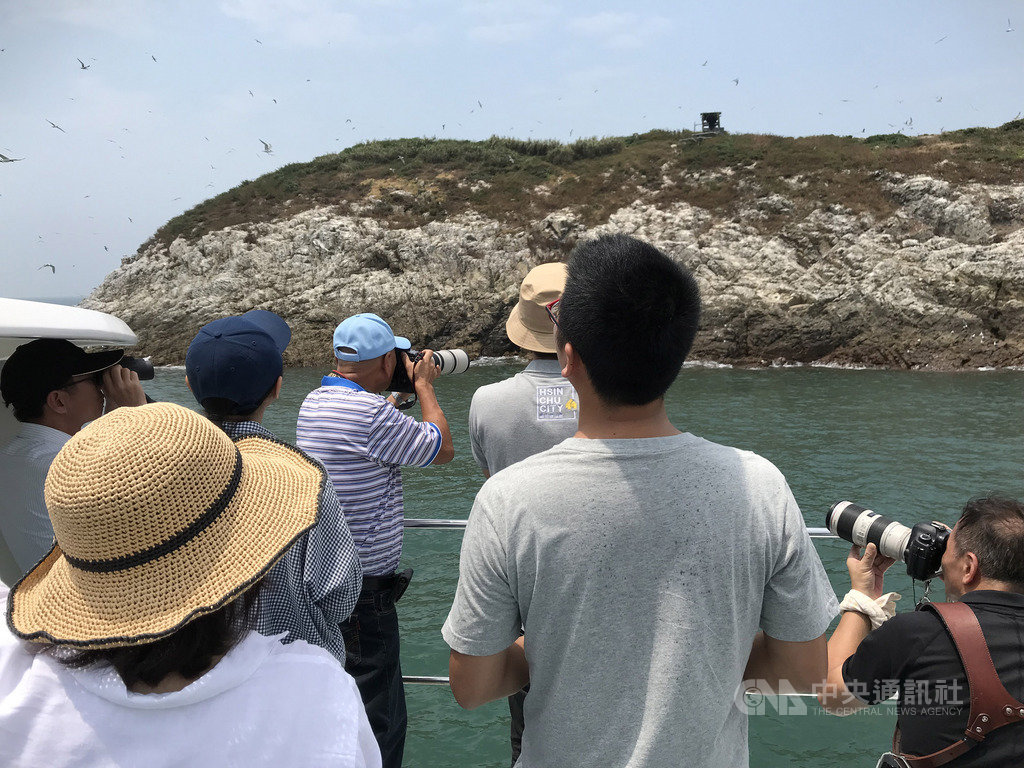 新竹市政府團隊參訪馬祖,15日上午參加生態賞鷗遊程,搭乘賞鷗船前往北竿鐵尖島,欣賞成群燕鷗在天空飛舞,盤旋覓食。(連江縣政府提供)中央社 108年8月15日