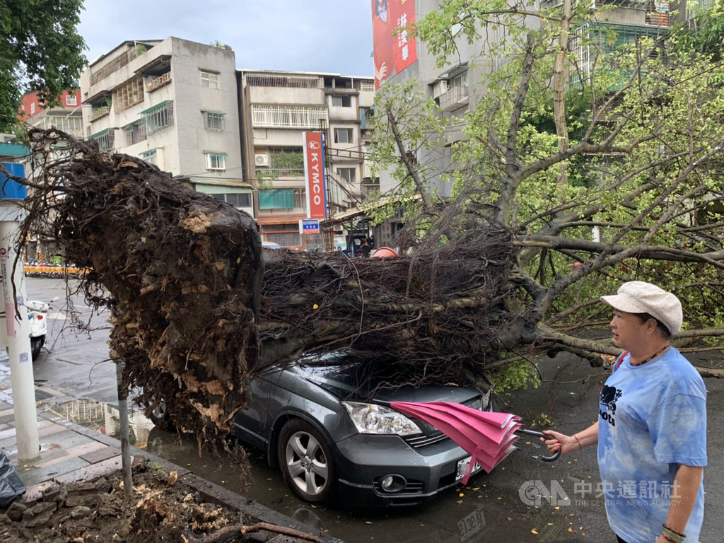 台北市大安區辛亥路3段18日下午發生路樹倒塌意外,一輛臨停路邊的汽車車頭遭壓毀,警方獲報到場交通管制,並通報台北市公園處派員前往鋸樹移置,晚間已恢復通行。(民眾提供)中央社記者黃麗芸傳真 108年8月18日