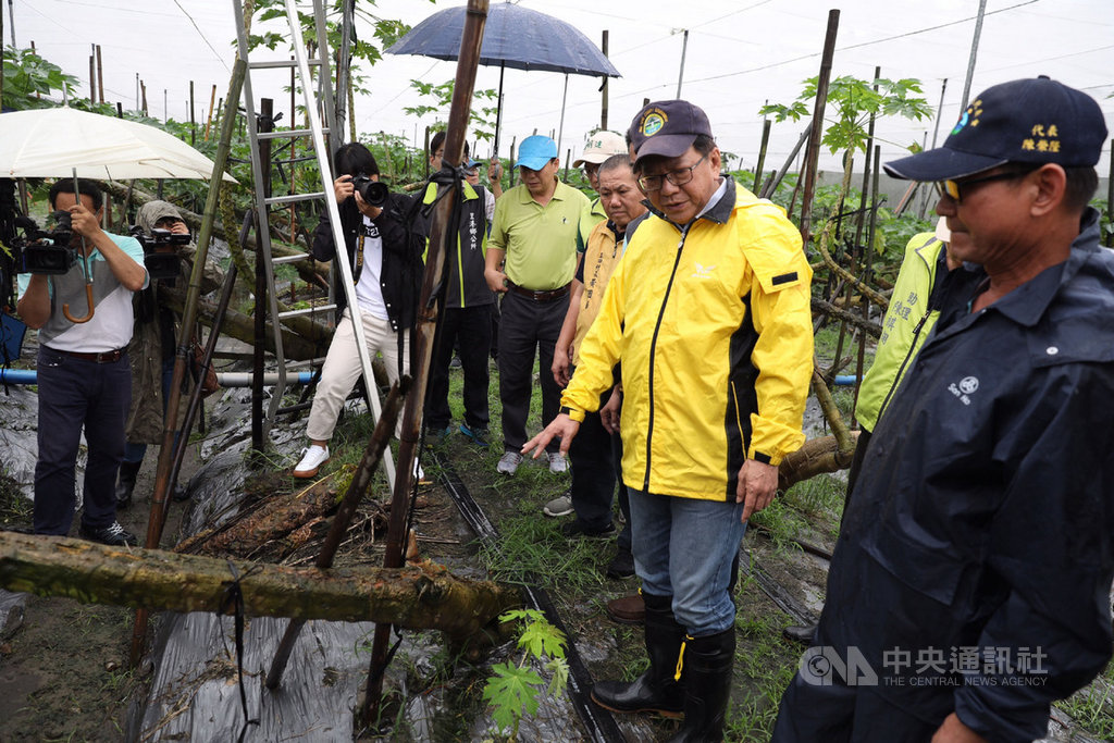 屏東縣大雨持續不斷,瓜果類受損嚴重,屏東縣長潘孟安(右2)19日前往屏北鄉鎮勘查農損,看到木瓜掉滿地,不禁眉頭深鎖。(屏東縣政府提供)中央社 108年8月19日