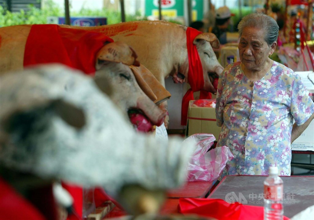 神豬重量比賽是每年義民祭的活動之一,動保團體認為這是虐待動物的陋習,客委會19日表示,尊重所有宗教文化活動的自由,「反虐養不反神豬」。(示意圖/中央社檔案照片)