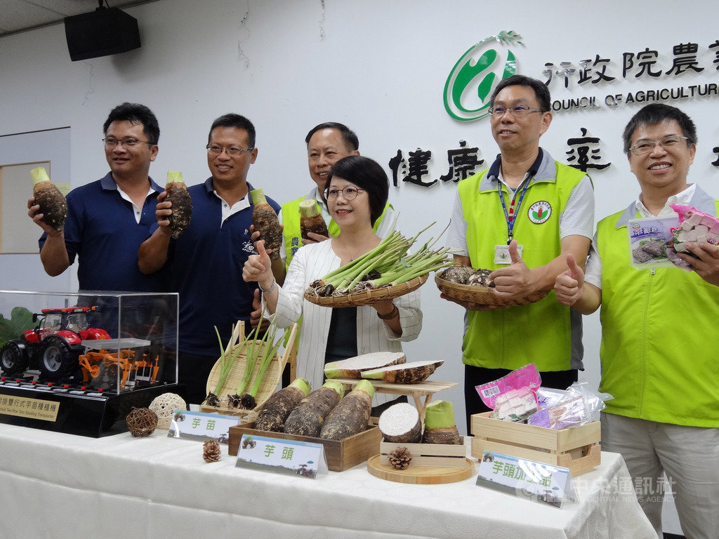 農委會台中區農業改良場22日召開「缺工新解方,台灣第一台芋用專機上路」記者會,副研究員田雲生(右2)花2年時間,研究出台灣首台芋苗種植機,原先每公頃用人力種苗要7個人做8小時,現在3人輕鬆用農機即可完成,還可防蟲害。中央社記者楊淑閔攝 108年8月22日