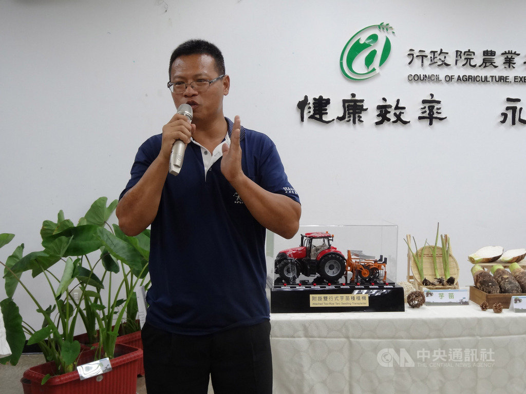 農委會台中區農業改良場22日召開「缺工新解方,台灣第一台芋用專機上路」記者會,台中市大甲農業生產合作社理事主席紀文雄說,這台農機會製作出溝(凹)、畦(凸),芋苗種在畦田上,灌溉水只在溝處,害蟲福壽螺在有水的地方,不會上到畦田吃芋頭塊莖,可防蟲害。中央社記者楊淑閔攝 108年8月22日