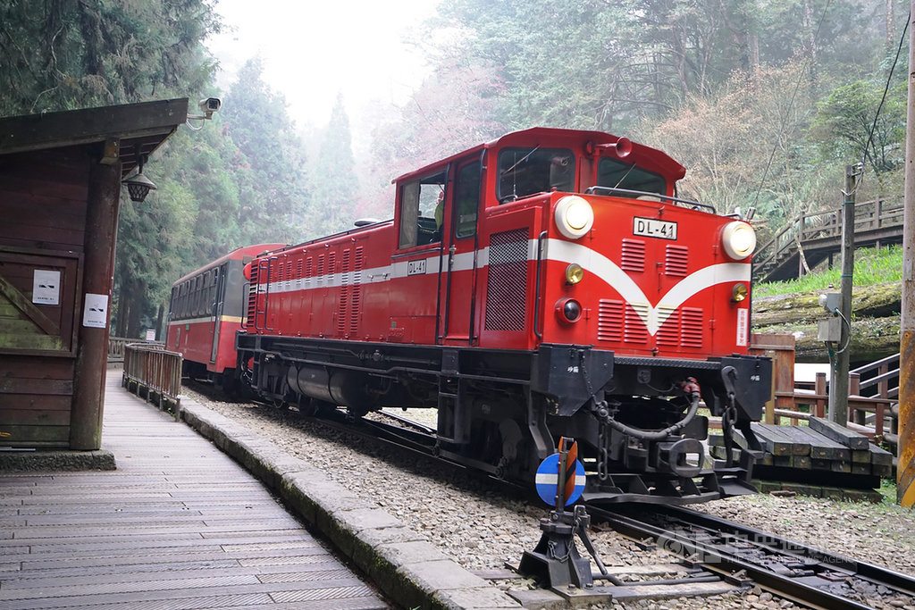 颱風白鹿的海陸警報解除,林務局阿里山林業鐵路及文化資產管理處表示,阿里山遊樂區內的沼平、神木、祝山3支線已完成巡檢及整備,配合恢復營運,不過,嘉義至十字路站的本線仍暫停行駛。圖為阿里山林鐵。(林鐵及文資處提供)中央社記者葉子綱傳真 108年8月25日