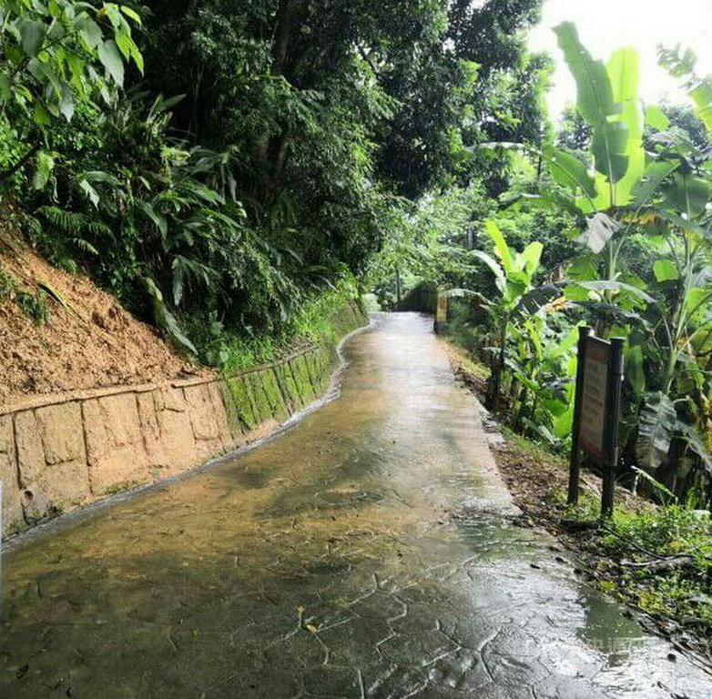 台中市大坑風景區近日大雨不斷,造成部分步道損壞,台中市觀光旅遊局25日指出,大坑1號步道及3號步道結構體損壞,影響通行安全,目前封閉維修中。(台中市政府提供)中央社記者蘇木春傳真 108年8月25日