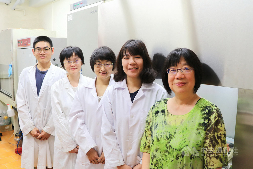 「菜瓜布肺」是一種肺纖維化疾病,只能靠用藥延緩惡化,確診後平均存活期不到1年。陽明大學、台北榮總、高雄榮總研究團隊耗時3年,發現在人類臍帶中的間質幹細胞,竟能在短短1個月內逆轉肺纖維化,研究成果也登上國際期刊。(陽明大學提供)中央社記者張茗喧傳真 108年8月28日