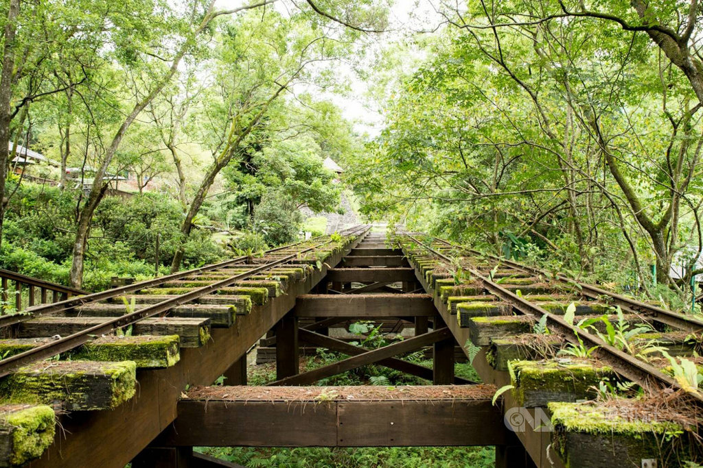 花蓮林田山林業文化園區是台灣現存最完整、具特色的伐木基地,林務局計畫爭取新台幣10億元經費,打造「林業文化廊道」,修復重點包括舊鐵道及宿舍整修。(蕭美琴辦公室提供)中央社記者張祈傳真 108年8月31日