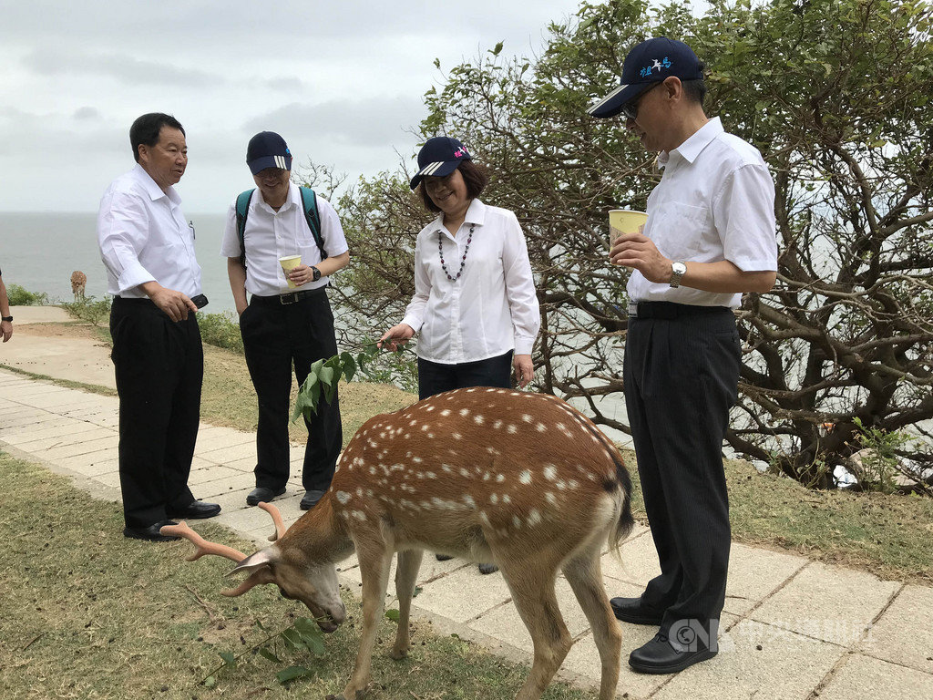 行政院國發會主委陳美伶(右2)3日訪問馬祖地方創生計畫行,實地踏勘大坵島梅花鹿生態園區。(連江縣政府提供)中央社 108年9月3日