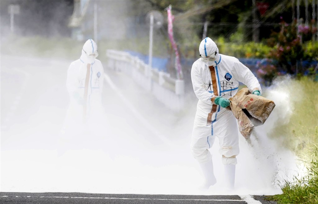 日本關東地方埼玉縣秩父市一處養豬場,13日確認豬隻感染豬瘟,當天開始撲殺約800頭豬,到15日凌晨全數撲殺完畢。(共同社提供)