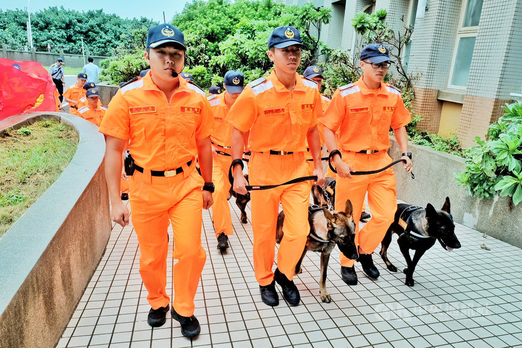 海巡署16日在北部分署竹圍營區成立「海巡偵搜犬區隊」,目前營區內共有15隻海巡偵搜犬,品種包括拉不拉多、德國狼犬、比利時狼犬及史賓格等,將在專業師資培訓下,進行為期4個月的農畜產品、毒品及爆裂物等訓練,並與領犬員培養默契,預計在109年正式服勤。中央社記者吳睿騏桃園攝 108年9月16日
