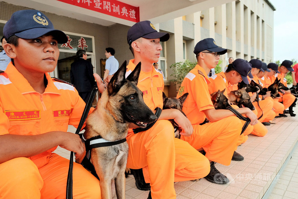 海巡署16日在北部分署竹圍營區成立「海巡偵搜犬區隊」,希望借重偵搜犬靈敏的嗅覺,協助海巡邊境防疫打擊不法。中央社記者吳睿騏桃園攝 108年9月16日