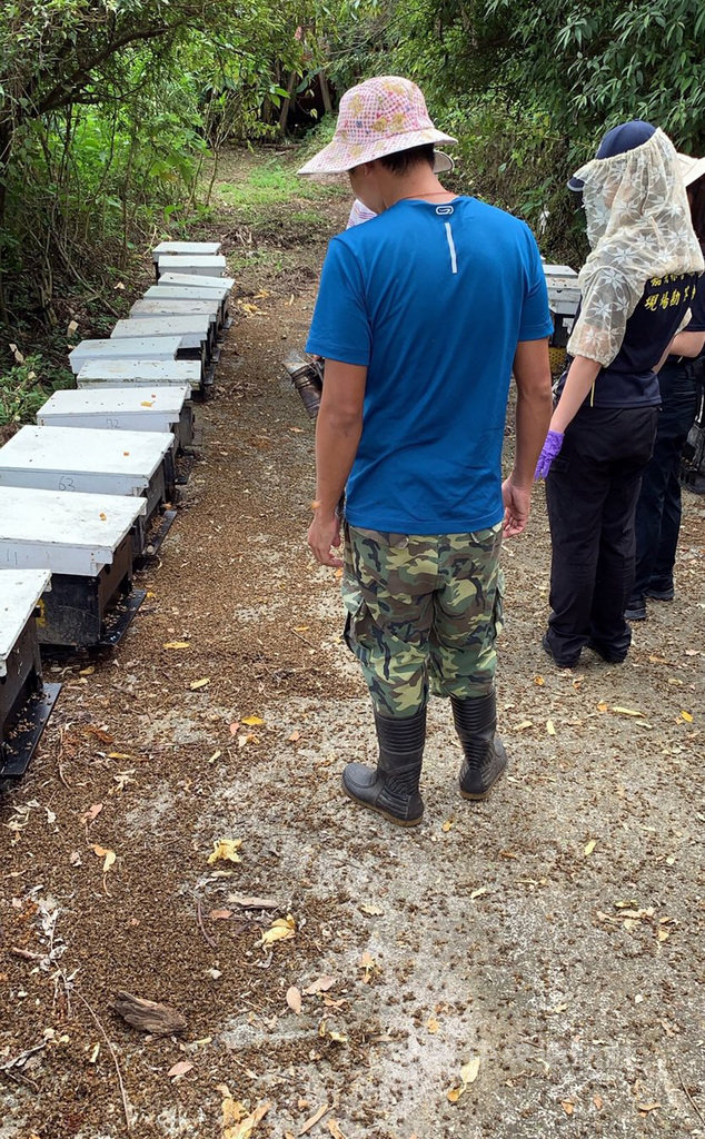 嘉義縣梅山鄉15日發生500多萬隻蜜蜂死亡,蜂農懷疑是遭人毒殺,損失約新台幣200萬元,警方前往調查採樣、調閱監視器畫面,釐清案情。(警方提供)中央社記者黃國芳傳真 108年9月16日