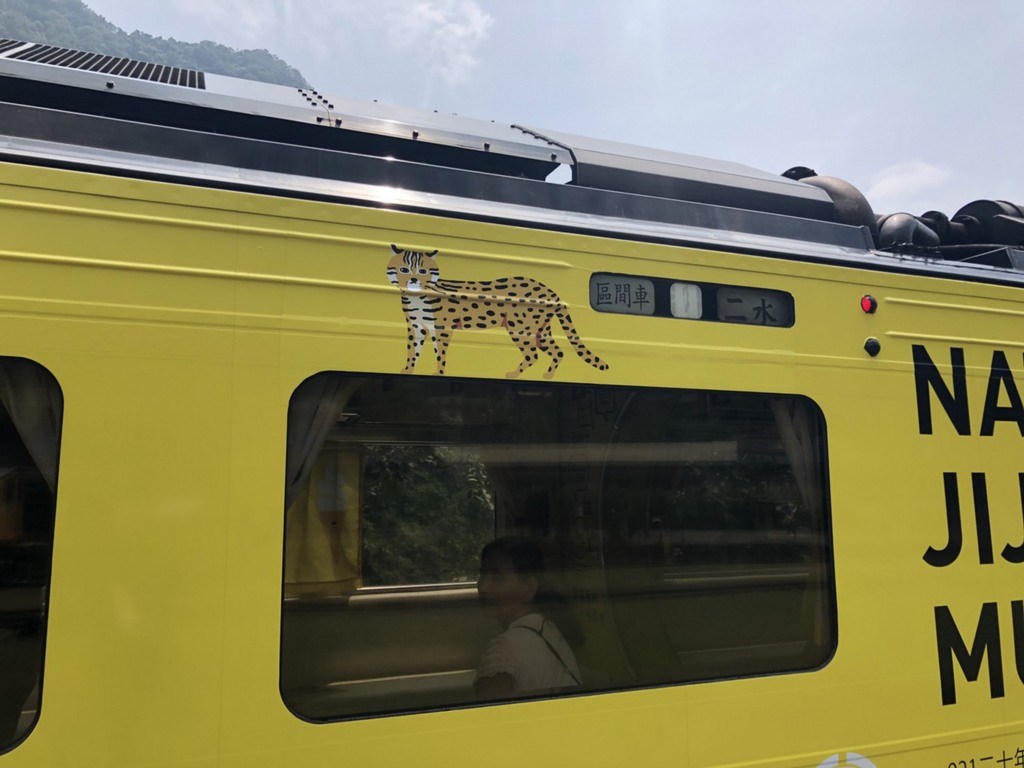 國立集集美術館彩繪列車18日將正式上路,原設計師江孟芝、俄羅斯插畫家莫洛措娃繪畫的石虎插圖並存,重新施工完成的列車車廂彩繪17日搶先曝光。圖為車廂上由江孟芝設計的石虎圖案。(日管處提供)中央社記者蕭博陽南投縣傳真 108年9月17日