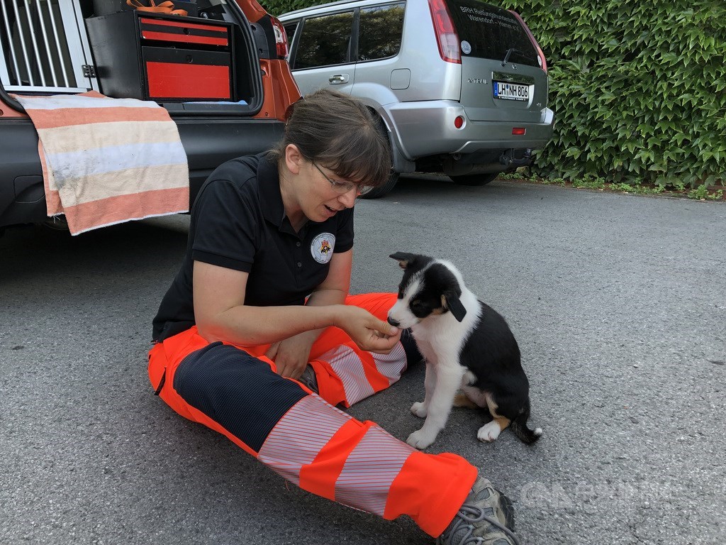 吉斯正職是獸醫,20年前曾帶救難犬到台灣進行搜救工作。中央社記者林育立哈姆攝 108年9月17日