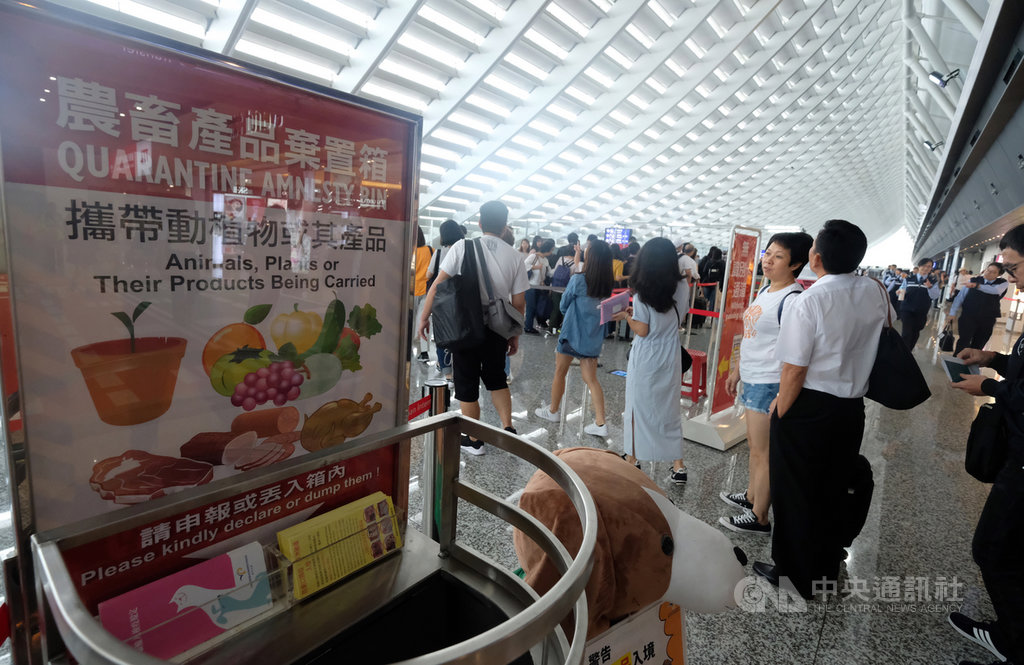 因應南韓發生非洲豬瘟,從17日下午起,自南韓入境旅客違規攜帶豬肉產品入境遭查獲,罰鍰新台幣20萬元。中央社記者邱俊欽攝 108年9月17日