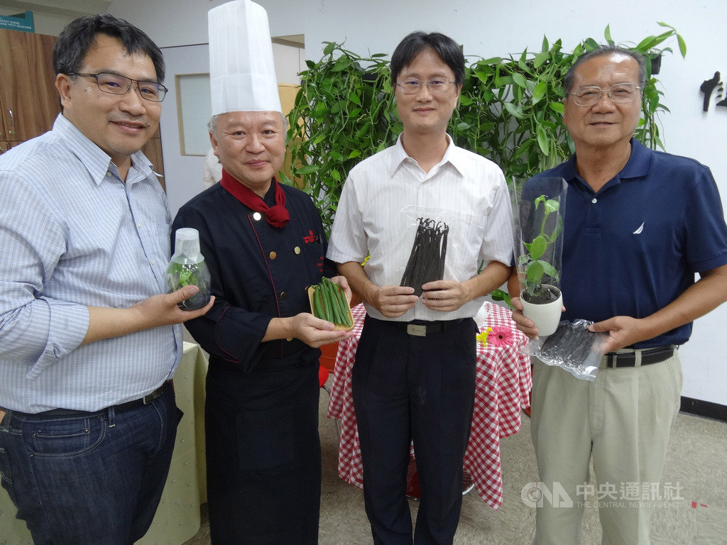 桃園區農改場19日發表國產香草莢加工技術突破成果,試用過的台中福華大飯店西點主廚張順勇(左2)表示,國產香草莢真的優於進口,更香。技轉業者林桐榮(左1)則看好香草莢在國際售價上揚。中央社記者楊淑閔攝 108年9月19日