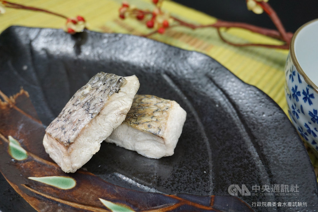 農委會水產試驗所水產加工組組長蔡慧君23日表示,日本即食杯湯多是非肉類湯品,以味噌湯最常見;因應台灣民眾喝魚湯較普遍,特別開發即食沖泡鱸魚片加工技術,要技轉給廠商,生產全台首款即食沖泡魚湯。(水試所提供)中央社記者楊淑閔傳真 108年9月23日