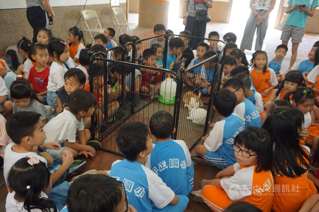 金門縣畜試所4日響應世界動物日,特別帶了烏龜、兔子等可愛小動物到校園內宣導動物保護觀念,加強孩子們的生命教育。中央社記者黃慧敏攝 108年10月4日