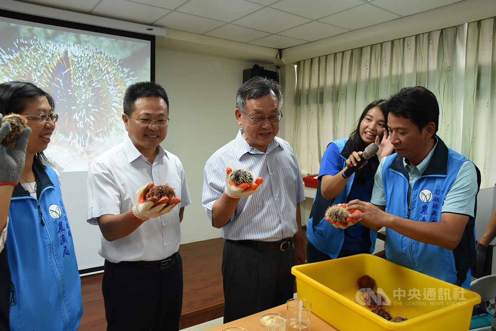 澎湖縣政府農漁局推動海洋活化政策,8日在水產苗繁殖場辦理「澎湖縣海洋教育實作體驗課程」,縣長賴峰偉(中)與小朋友們一起實作體驗。中央社 108年10月8日
