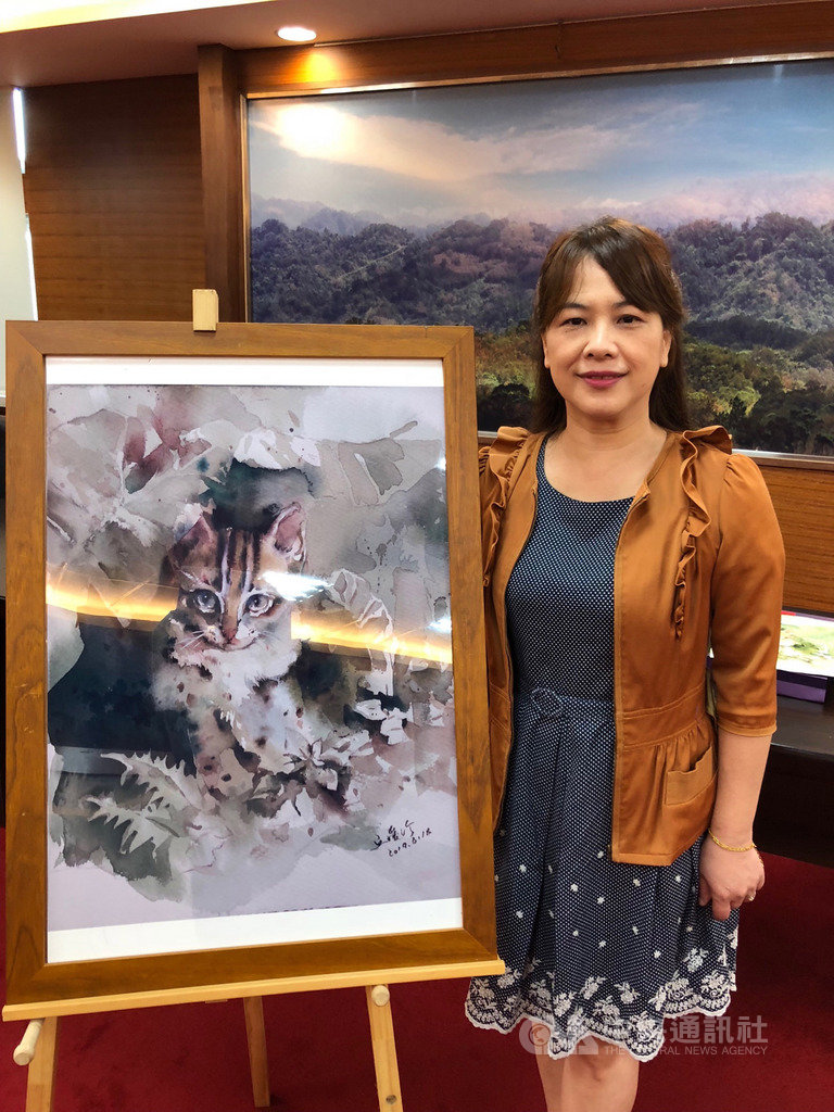 苗栗畫家丘璦珍繪製石虎作品,將其中6幅畫作自掏腰包印製成桌曆,透過網路義賣捐助保育團體,9日更將版權無償提供苗栗縣府使用,推動石虎保育工作。中央社記者管瑞平攝 108年10月9日
