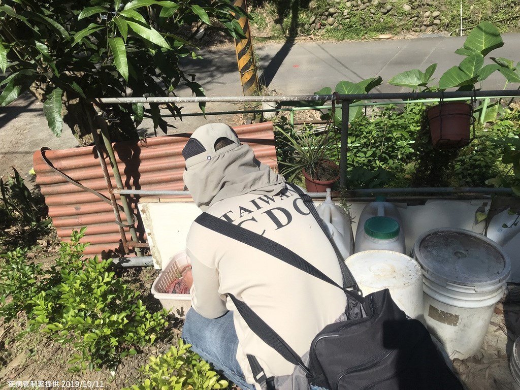 衛生福利部疾病管制署11日宣布,新北市樹林區新增第2例本土登革熱病例,與首例病例都有同菜園活動史,研判為樹林今年首起登革熱群聚事件,將對菜園使用者進行健康監測。(疾管署提供)中央社記者張茗喧傳真 108年10月11日