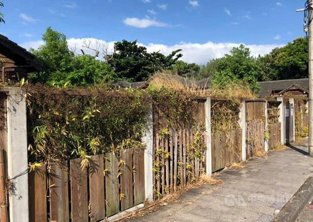 花蓮文化創意產業園區今年7月初關閉場館後,園區呈現半閒置狀態,其中日式木屋區原本綠意盎然的圍籬疑噴灑除草劑造成整片枯黃,讓民眾憂心影響在地居民、遊客健康。中央社記者李先鳳攝 108年10月16日