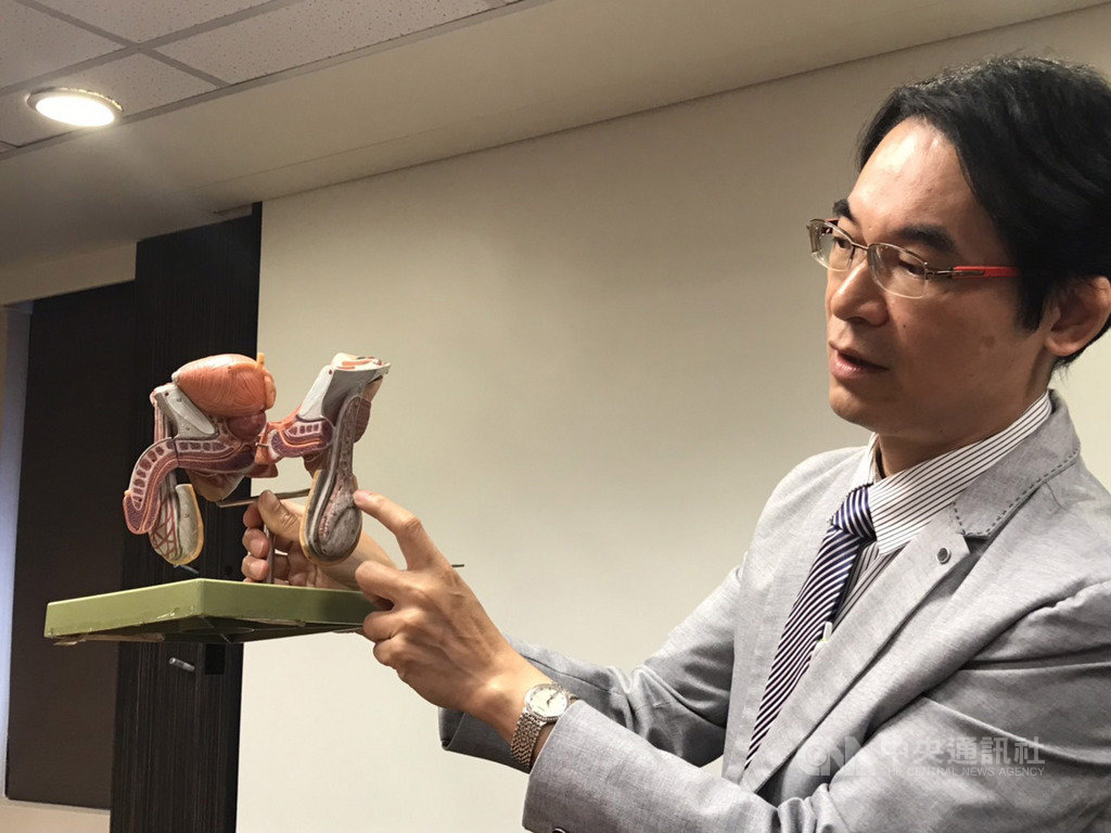 書田診所泌尿科主任洪峻澤17日提醒,睪丸無痛變硬、變大,高達90%是惡性,呼籲儘早就醫。中央社記者張茗喧攝 108年10月17日