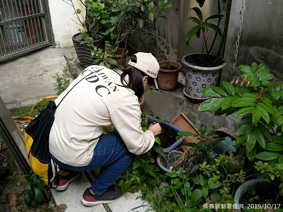 疾管署17日宣布新北市樹林區再新增一名登革熱個案,是名70多歲男性,近期未出國也沒有出現症狀,主要是15日衛生單位針對先前個案接觸者進行採檢時驗出登革熱抗體陽性,16日晚間確診。(圖取自疾管署網頁cdc.gov.tw)