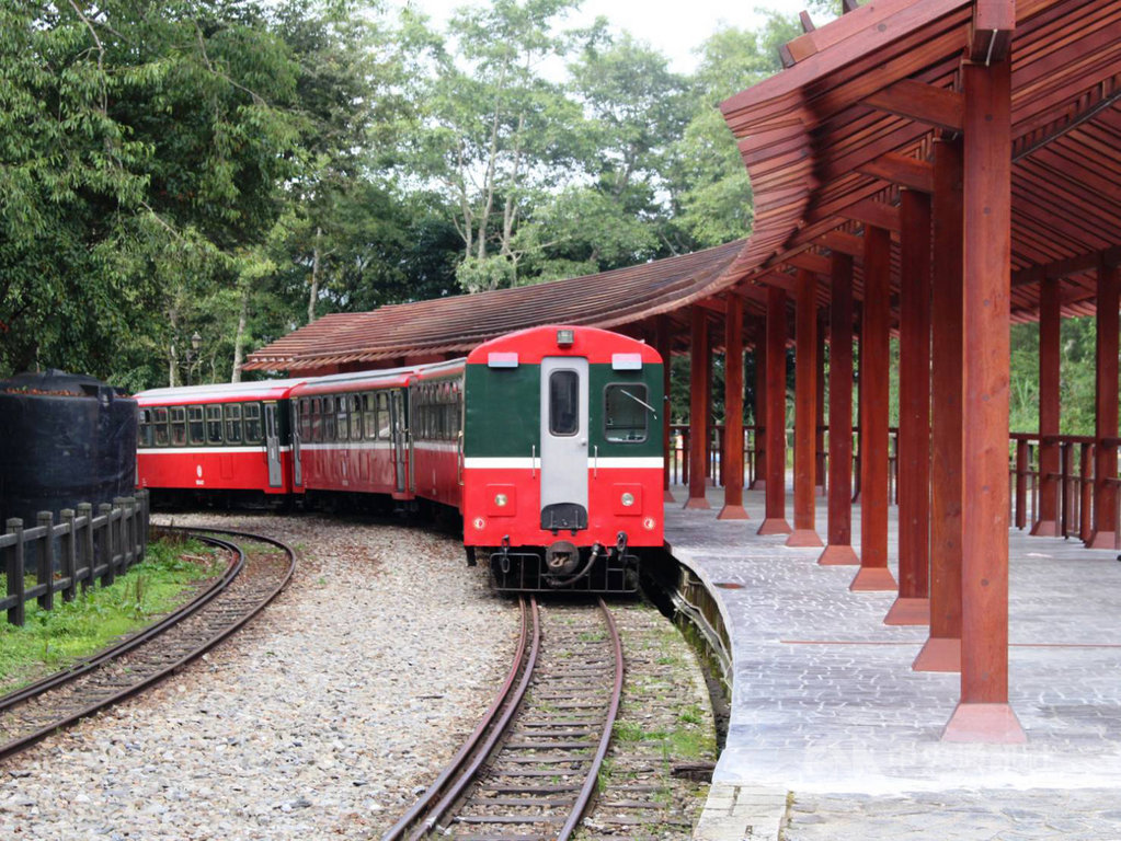 台鐵19日公布2020年首季郵輪式列車行程,3月推出到阿里山賞櫻花。(台鐵提供)中央社記者汪淑芬傳真 108年10月19日