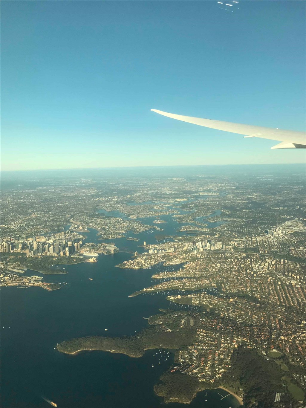 澳洲航空公司從美國紐約起飛歷經逾19小時飛行後,20日上午抵達澳洲雪梨。(圖取自twitter.com/Qantas)