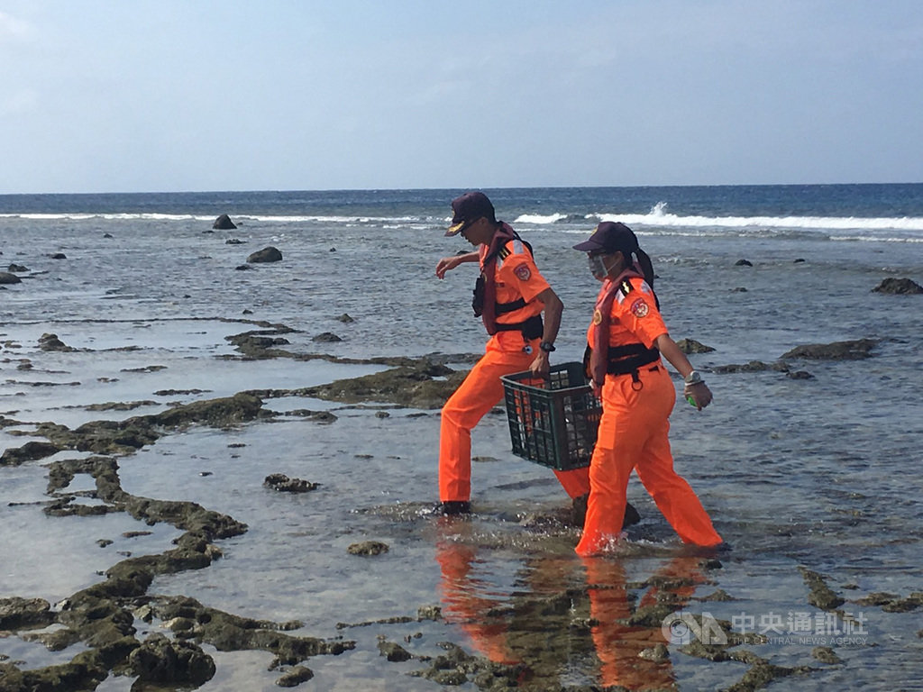 綠島安檢所21日在綠島石朗岸際發現一隻海龜遭漁網纏繞,海巡人員抵達現場時,發現海龜被漁網纏繞相當嚴重,立即除去漁網並持續給予海水保持濕潤,同時通報台東縣政府農業處畜產保育科。(第一三岸巡隊提供)中央社記者李先鳳傳真 108年10月22日