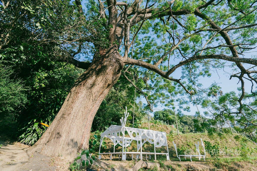 苗栗縣政府配合客委會規劃「大窩穿龍圳地景藝術節」將於26日登場,透過4座地景藝術及百年水圳古道,呈現苗栗慢城的豐富歷史人文風情。(苗栗縣政府提供)中央社記者管瑞平傳真 108年10月22日