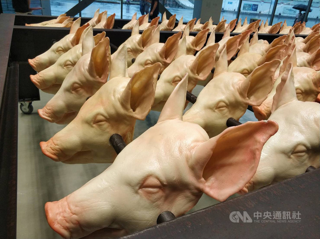 非洲豬瘟疫情2018年在中國爆發並迅速傳播,「豬」成為熱門話題。此為上海當代藝術博物館9月展出館藏作品「恐懼數學」,創作者為已故藝術家大同大張(本名張盛泉)。中央社記者張淑伶上海攝 108年10月24日