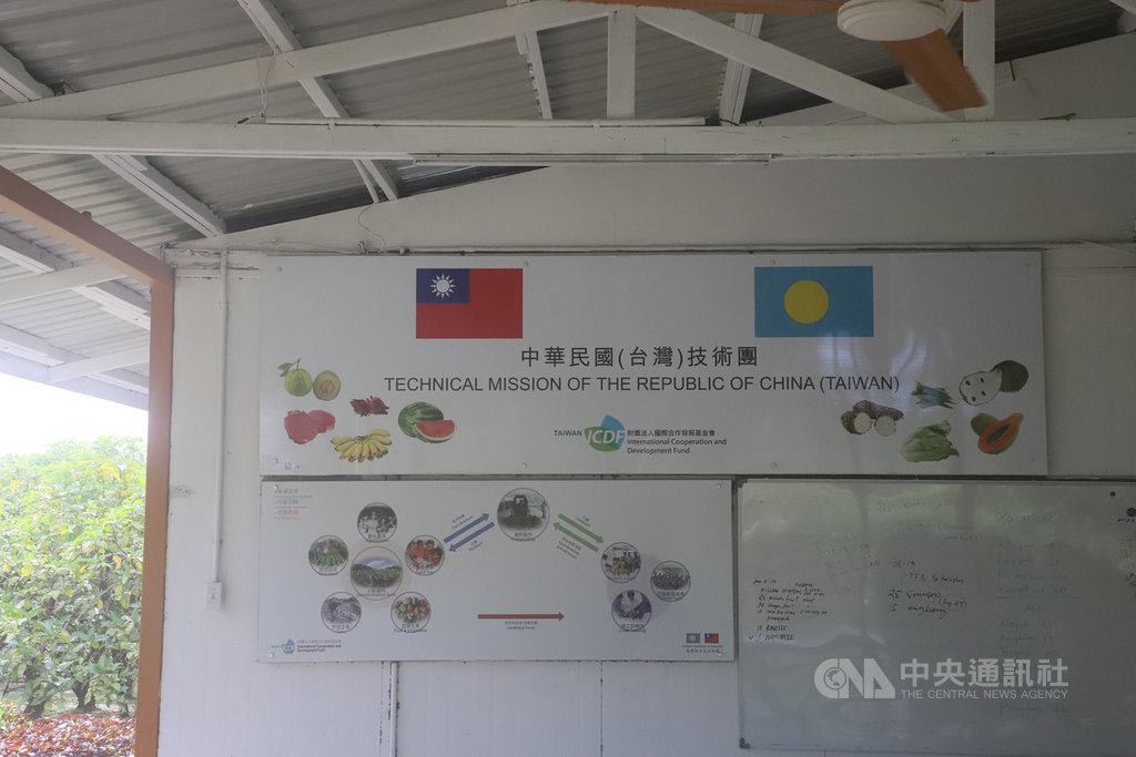 國合會駐帛琉技術團與日本笹川和平基金會合作推動帛琉生態旅遊,技術團示範農場列為景點之一。(國合會提供)中央社記者侯姿瑩傳真 108年10月26日