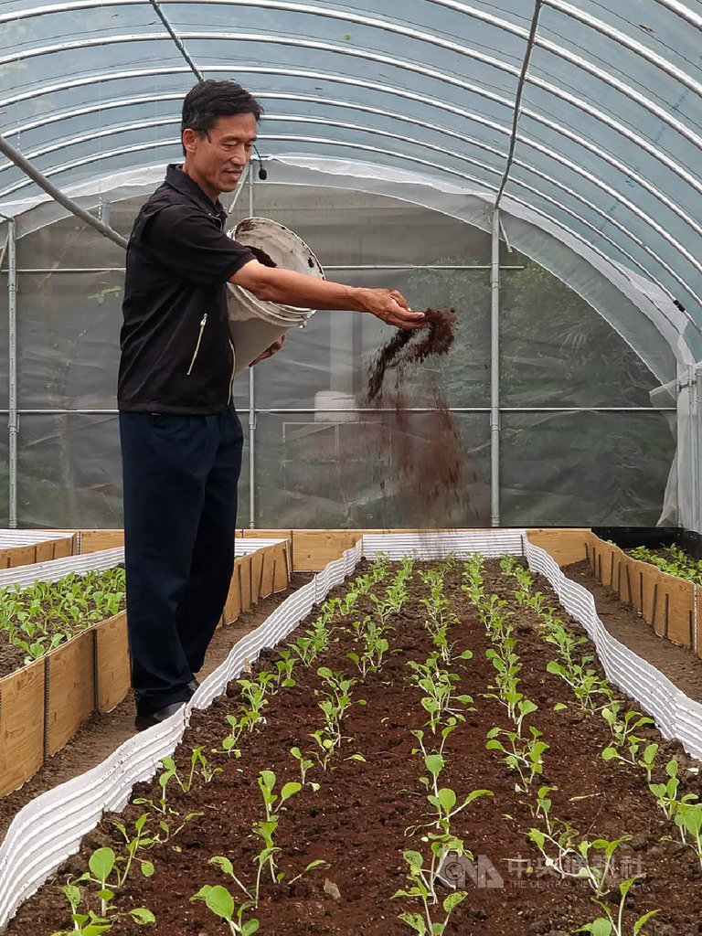淼同生物科技股份有限公司總經理高志誠(圖)表示,透過咖啡渣調整施肥比例,當土壤孕育很好的時候,很多病蟲害自然就會壓下來、甚至不會發生,不需再使用農藥,他也示範如何以咖啡渣改善土壤。中央社記者張雄風攝 108年11月3日