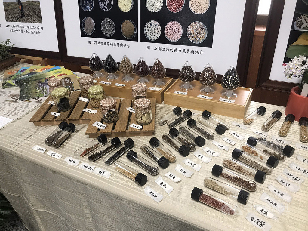 農委會花蓮區農業改良場7日舉行因應氣候變遷成果發表會,介紹農改場過去研發成果,抗病毒南瓜品種、抗雜草的水稻品種、原住民特色物種300種品種系收集(圖)等。中央社記者張祈攝 108年11月7日