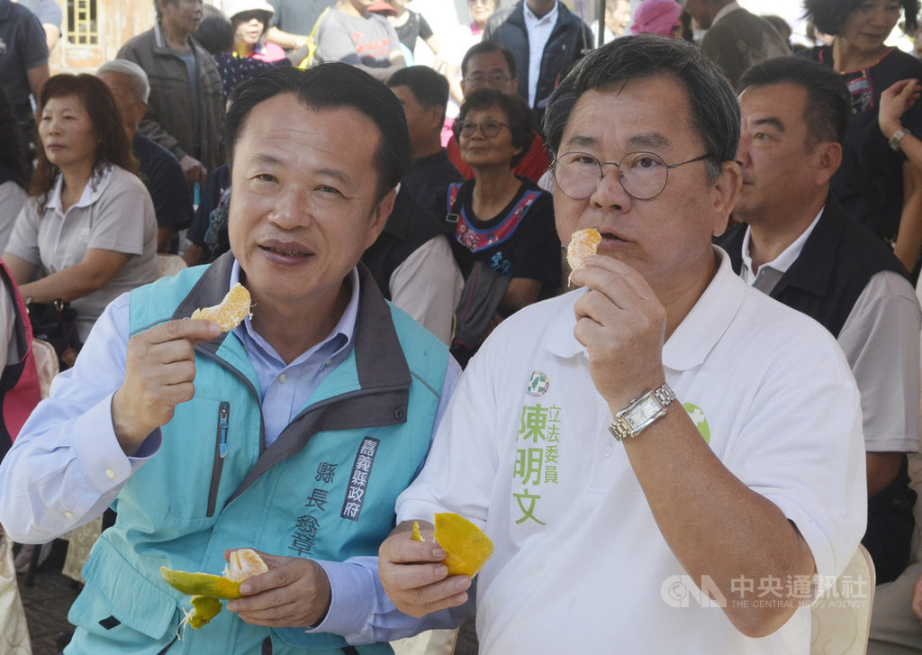 嘉義縣政府9日在竹崎鄉舉辦「豐橙秀橘、作客竹崎」農產推廣及觀光行銷活動,縣長翁章梁(前左)、民進黨籍立委陳明文(右)出席,兩人現場品嚐當地特產椪柑。中央社記者蔡智明攝 108年11月9日