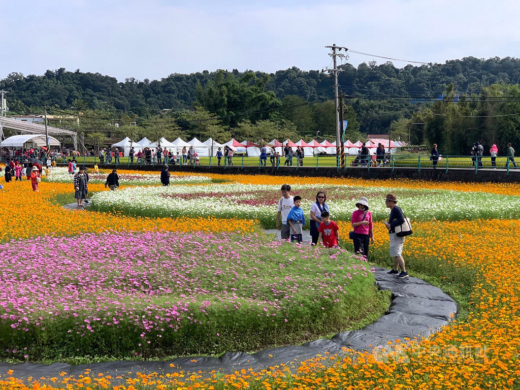 2019桃園花彩節大溪場開幕,在月眉社區李騰芳古厝周邊17公頃花海繽紛燦爛,10日也吸引不少民眾把握假日時光前往賞花踏青。(桃園市政府提供)中央社記者邱俊欽桃園傳真 108年11月10日