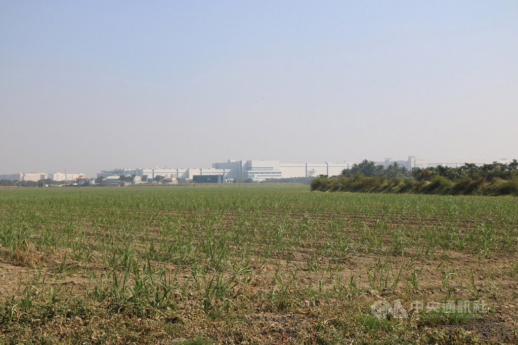 南科園區第三期擴建基地評估案,位於台南市新市區的看西農場為預定地之一。中央社記者楊思瑞攝 108年11月10日