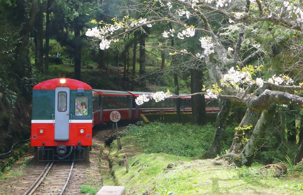 林務局阿里山林業鐵路及文化資產管理處爭取前瞻計畫新台幣5.4億元,從民國110年起到112年,要添購9輛機關車頭,計劃採用油電混合或燃料電池動力的機關車。中央社記者蔡智明攝 108年11月10日
