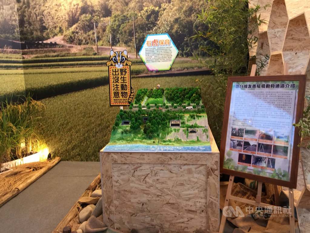 苗栗縣政府農業處藉由中台灣農業博覽會期間,依後龍溪至道路南側山坡地實際地形地貌,製作1:50模型,讓民眾知道生存於淺山的野生動物為何需要友善通道,進而共同守護石虎。(苗栗縣政府農業處提供) 中央社記者管瑞平傳真 108年11月15日