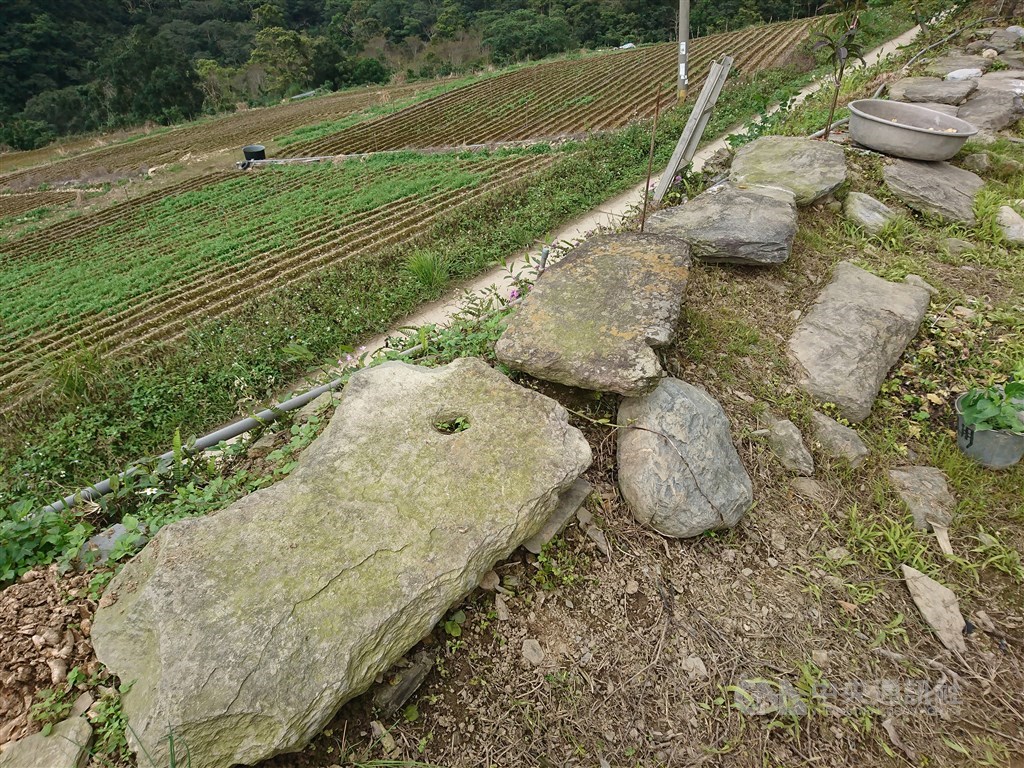 推測是台灣史前文化進入鐵器 (金屬)文化的上里文化,因為應耕種大部分已破壞,民國106年考古人員前往探勘,地面還可看到巨石文化遺物如單石、石柱、石輪等。(檔案照片)中央社記者盧太城台東攝 108年11月16日