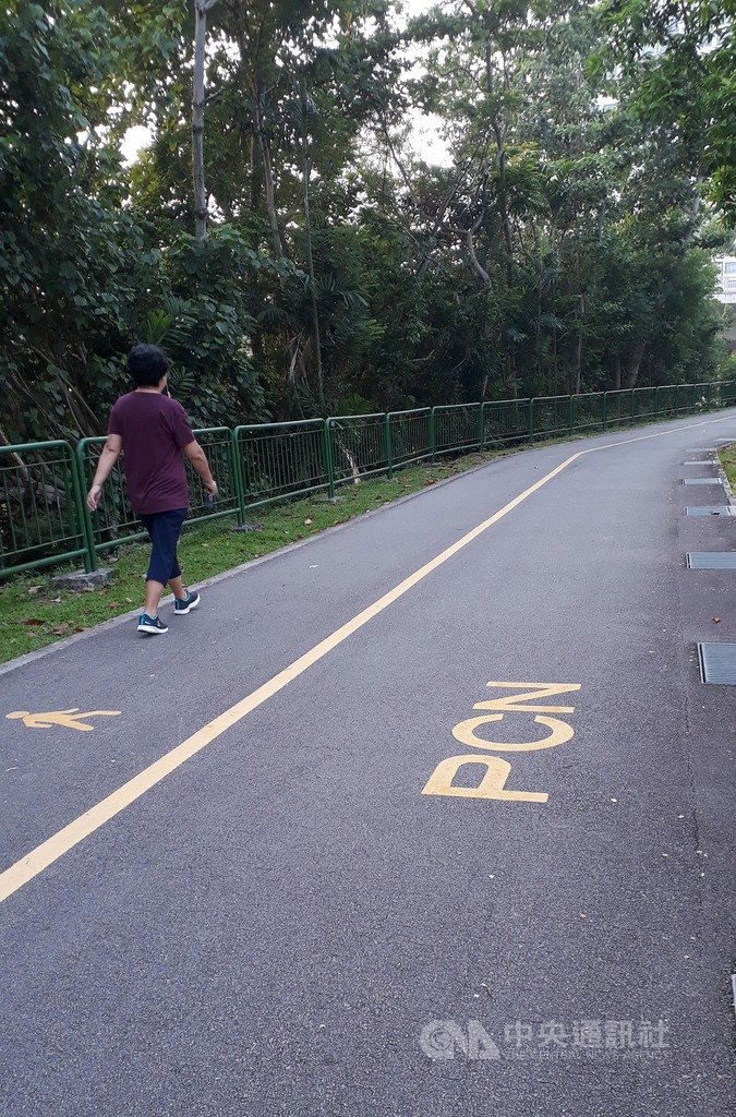 新加坡宣布禁止在人行道騎乘電動踏板車,電動踏板車如今遭限縮只能在腳踏車專用道、公園裡單車與行人共用步道的「公園連道」(PCN)騎乘。中央社記者黃自強新加坡攝 108年11月17日