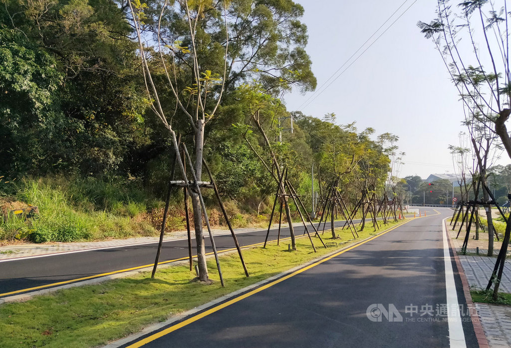 苗栗縣台13甲線造橋路段另闢替代道路截彎取直後,鄉公所爭取經費將原舊路段打造成綠色生態廊道,盼吸引遊客、鐵馬族造訪。(苗栗縣政府提供)中央社記者管瑞平傳真 108年11月18日