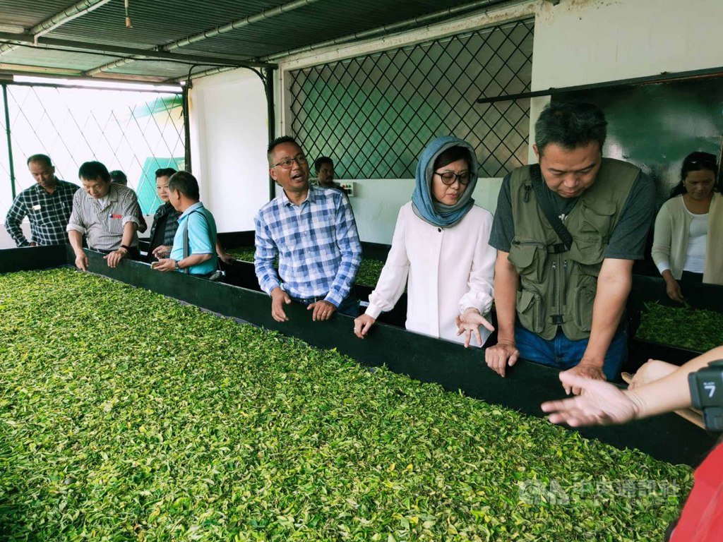 台灣茶產業代表團訪問印度梅加拉雅省茶葉改良場,了解當地茶葉改良與機械需求。(駐印度代表處教育組提供)中央社記者康世人新德里傳真 108年11月21日