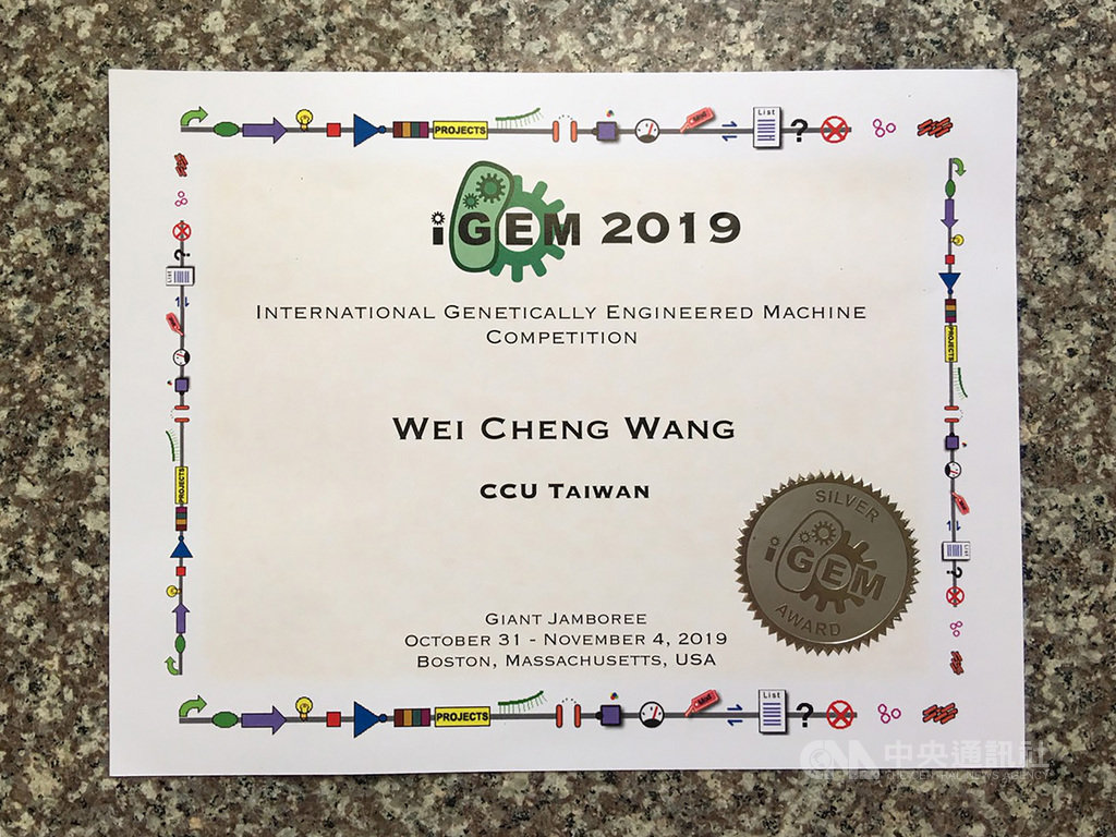 中正大學16名學生組成跨領域團隊,研發「非洲豬瘟快篩檢測器」,獲得美國麻省理工學院「國際遺傳工程機械設計競賽(iGEM)」銀牌,每人皆獲頒獎狀。圖為生物醫學科學系學生王瑋晟的獎狀。(中正大學提供)中央社記者蔡智明傳真 108年11月21日