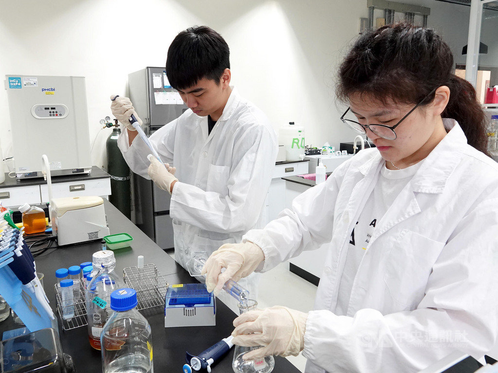 中正大學生物醫學科學系學生王瑋晟(左)與心理系學生許慧惠(右)等16名學生組成跨領域團隊,研發「非洲豬瘟快篩檢測器」,獲得美國麻省理工學院「國際遺傳工程機械設計競賽(iGEM)」銀牌。(中正大學提供)中央社記者蔡智明傳真 108年11月21日